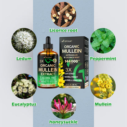 😍💫GFOUK®3X Concentrated Mullein Lung Cleanse Drops —Difficulty coughing up phlegm, shortness of breath, excessive mucus, bronchitis, and lung infections